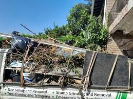 Best Residential Junk Removal  in Slater Marietta, SC
